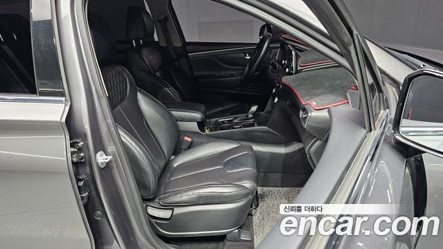 Hyundai Santa Fe (TM) Diesel 2.0 2WD Exclusive Special 2019 — фото 10