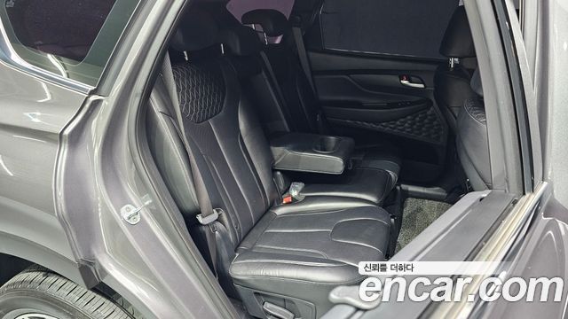 Hyundai Santa Fe (TM) Diesel 2.0 2WD Exclusive Special 2019 — фото 11
