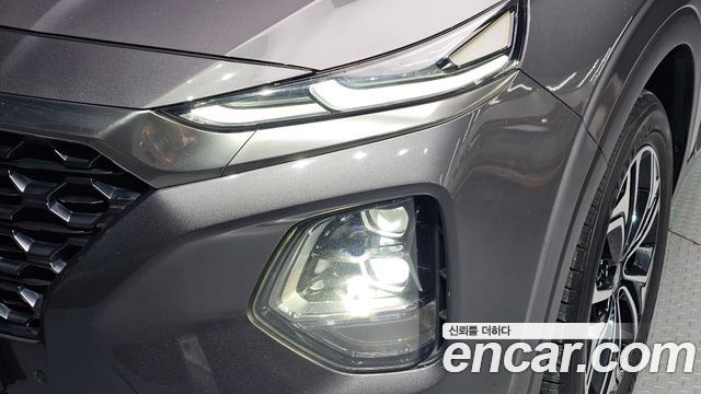 Hyundai Santa Fe (TM) Diesel 2.0 2WD Exclusive Special 2019 — фото 22