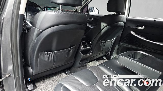 Hyundai Santa Fe (TM) Diesel 2.0 2WD Exclusive Special 2019 — фото 27