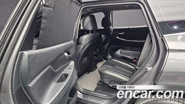 Hyundai Santa Fe (TM) Diesel 2.0 2WD Exclusive Special 2019 — фото 30