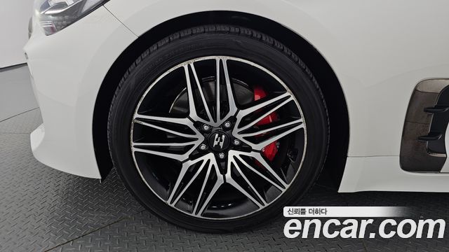 Kia Stinger Meister 2.5 AWD Masters 2021 — фото 5