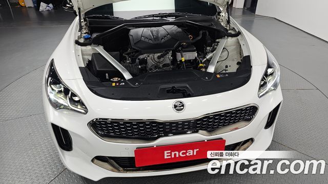 Kia Stinger Meister 2.5 AWD Masters 2021 — фото 6