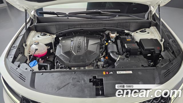 Kia Sorento (IV) Diesel 2.2 4WD Noblesse 2023 — фото 6
