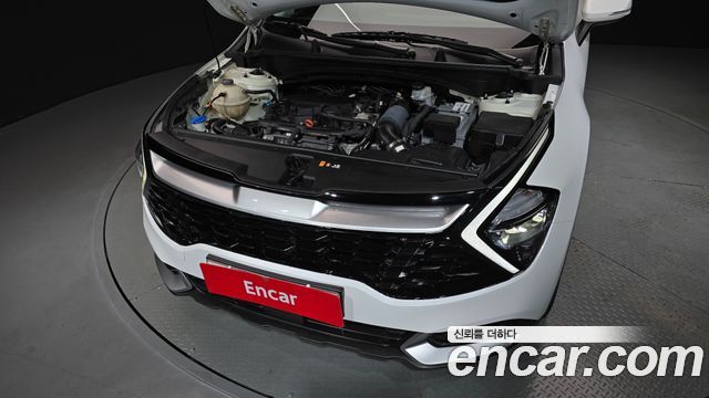 Kia Sportage (V) Gasoline 1.6 Turbo 2WD Trendy 2023 — фото 6