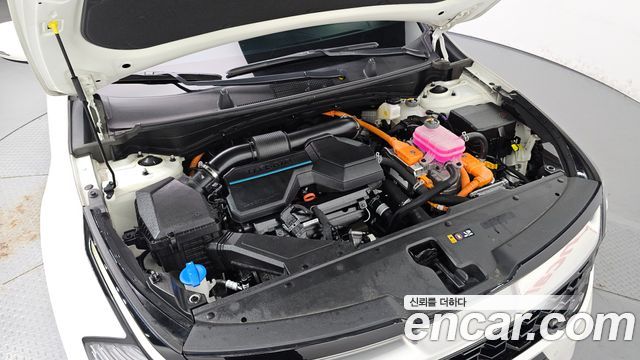 Kia Sportage Hybrid (V) Nobleless 2WD 2023 — фото 6