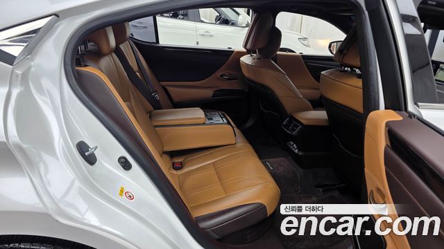 Lexus ES300h (VII) Luxury 2019 — фото 12