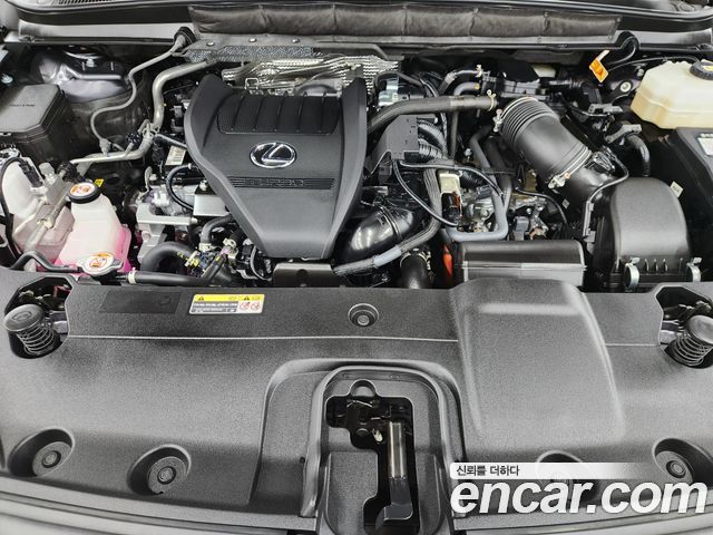 Lexus RX500h (V) F-Sport 2025 — фото 6