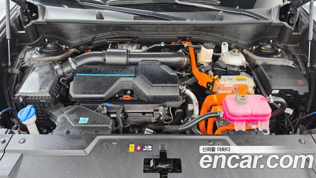 Hyundai Santa Fe (MX5) HEV 1.6 2WD Calligraphy 2024 — фото 6
