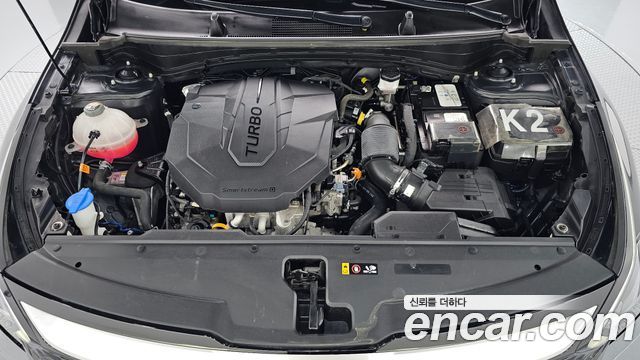 Kia Sportage (V) Diesel 2.0 2WD Prestige 2023 — фото 6