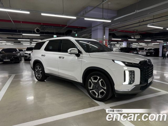 Hyundai Palisade Diesel 2.2 4WD Le Blanc