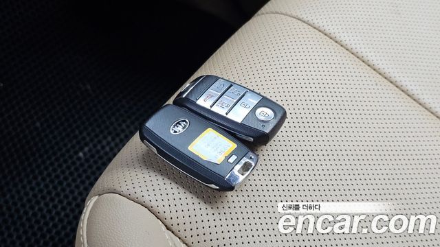 Kia Carnival 9-seater Hi-Limousine Noblesse 2017 — фото 29
