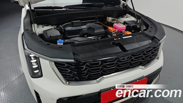 Kia Sorento (IV) HEV 1.6 2WD Noblesse 2024 — фото 6
