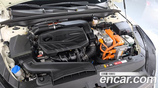 Kia K5 Hybrid (III) Noblesse 2020 — фото 6