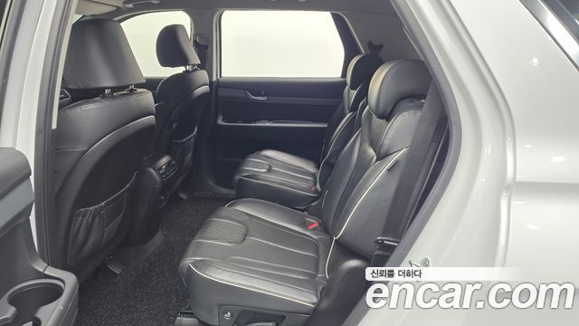 Hyundai Palisade Diesel 2.2 2WD Exclusive 2020 — фото 12