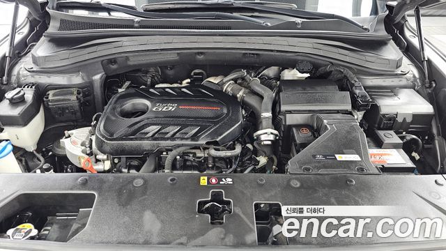 Hyundai Santa Fe (TM) Gasoline 2.0T 2WD Exclusive Special 2019 — фото 6