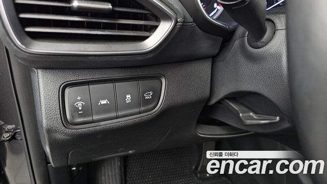Hyundai Santa Fe (TM) Gasoline 2.0T 2WD Exclusive Special 2019 — фото 14