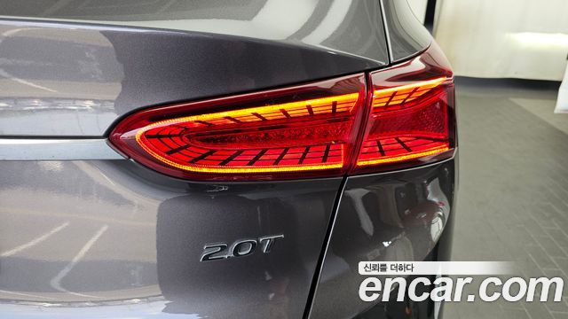 Hyundai Santa Fe (TM) Gasoline 2.0T 2WD Exclusive Special 2019 — фото 23