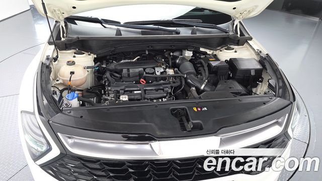 Kia Sportage (V) Gasoline 1.6 Turbo 2WD Nobleless 2022 — фото 6