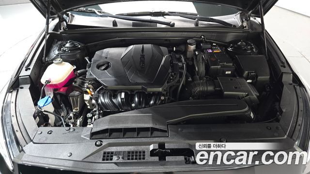 Kia K8 2.5 Gasoline 2WD Noblesse 2023 — фото 6
