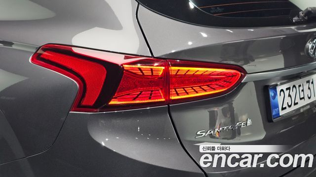 Hyundai Santa Fe (TM) Diesel 2.0 2WD Exclusive 2019 — фото 23