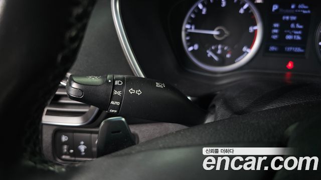Hyundai Santa Fe (TM) Diesel 2.0 2WD Exclusive 2019 — фото 28