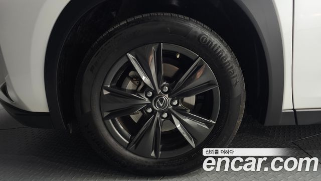 Lexus UX250h 2.0 2WD 2019 — фото 5