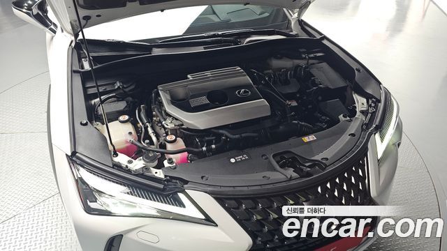 Lexus UX250h 2.0 2WD 2019 — фото 6