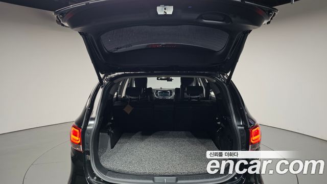 Hyundai Maxcruise Gas 3.3 4WD Exclusive Spicial 2018 — фото 32