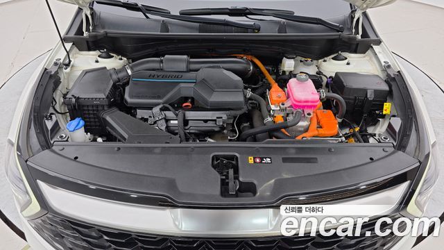 Kia Sportage Hybrid (V) Prestige 2WD 2023 — фото 6