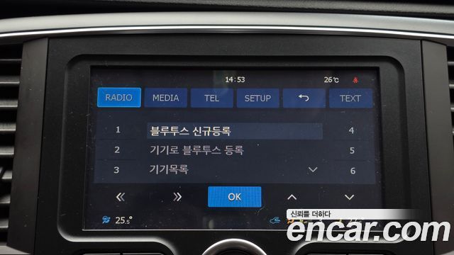 Renault Korea SM6 2.0 Prime SE 2019 — фото 15