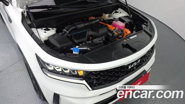 Kia Sorento (IV) HEV 1.6 2WD Noblesse 2023 — фото 6