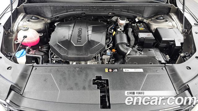 Kia Sorento (IV) Diesel 2.2 2WD Noblesse 2024 — фото 6
