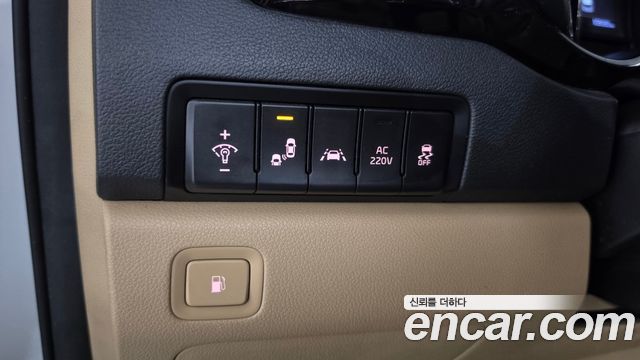 Kia Carnival 9-Seater Hi-Limousine Noblesse Special 2019 — фото 29