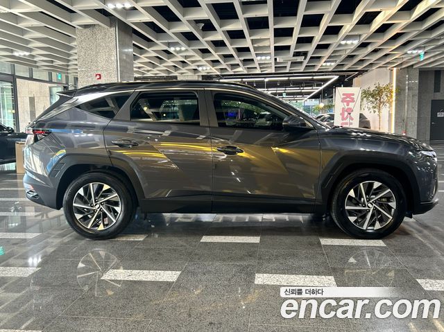 Hyundai Tucson Hybrid (NX4) Premium 2WD 2023 — фото 4