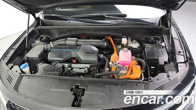 Kia Sorento (IV) HEV 1.6 2WD Noblesse 2023 — фото 6