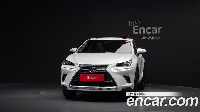 Lexus NX300h Executive 2019 — фото 3