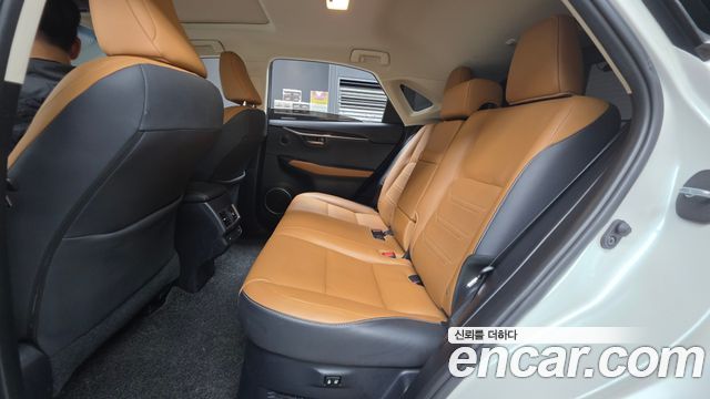 Lexus NX300h Executive 2019 — фото 12