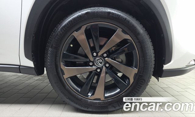 Lexus NX300h Executive 2019 — фото 21