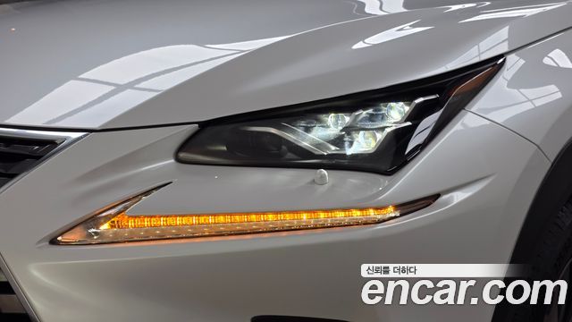 Lexus NX300h Executive 2019 — фото 22
