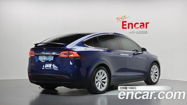Tesla Model X 100D 2019 — фото 2