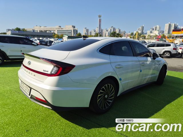 Hyundai Sonata (DN8) 2.0 Premium Family 2020 — фото 3