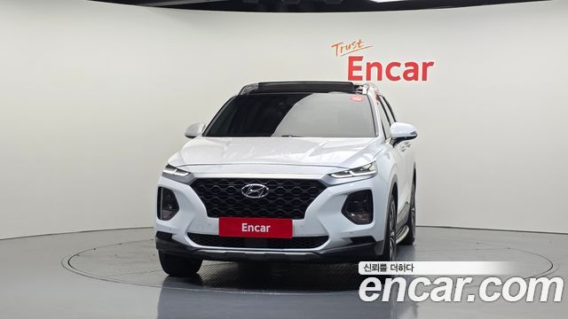 Hyundai Santa Fe (TM) Diesel 2.0 2WD Exclusive 2019 — фото 3