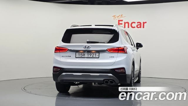 Hyundai Santa Fe (TM) Diesel 2.0 2WD Exclusive 2019 — фото 4