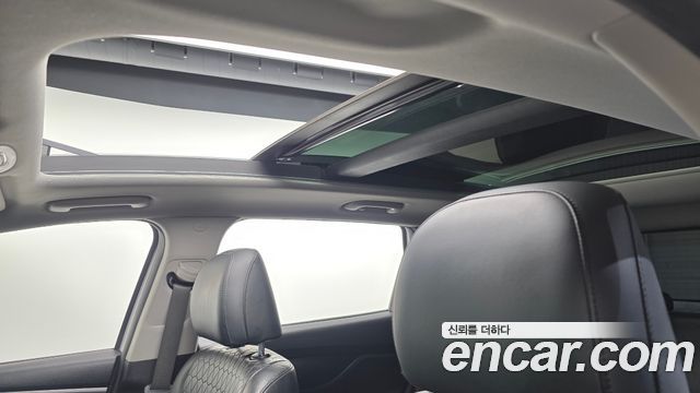 Hyundai Santa Fe (TM) Diesel 2.0 2WD Exclusive 2019 — фото 16