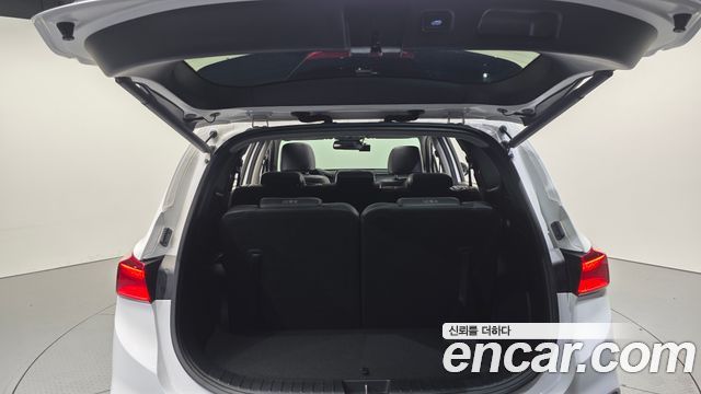 Hyundai Santa Fe (TM) Diesel 2.0 2WD Exclusive 2019 — фото 17