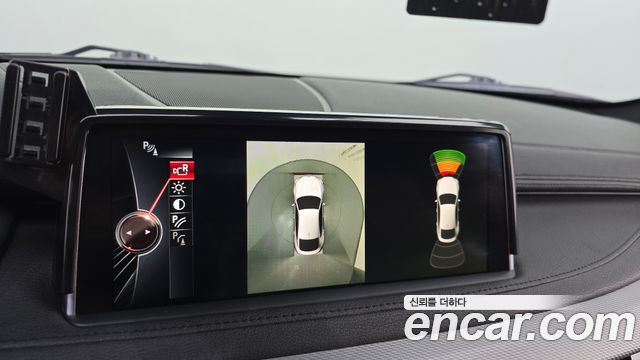 BMW X6 (F16) xDrive 30d Vision 100 Edition 2016 — фото 14