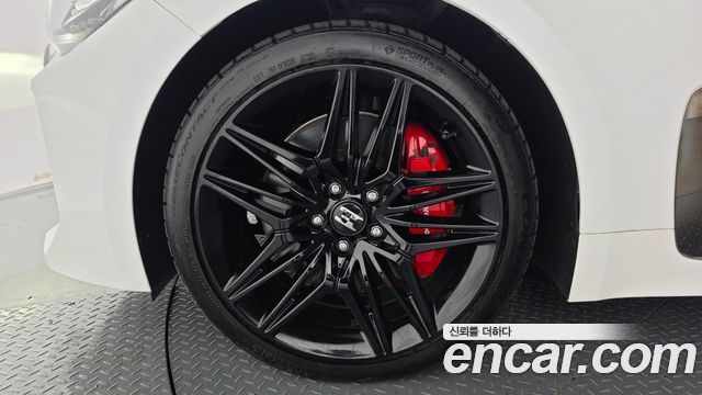 Kia Stinger Meister 2.5 AWD Masters 2021 — фото 5