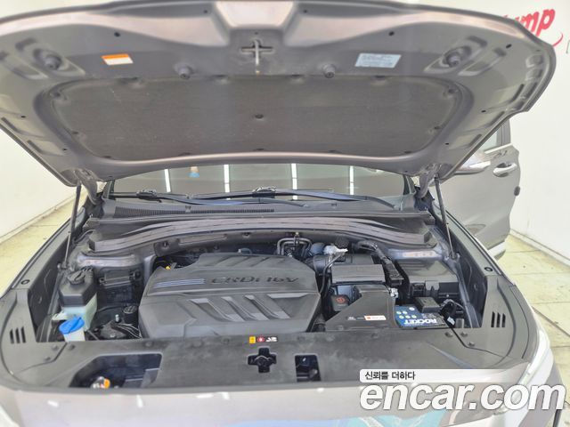 Hyundai Santa Fe (TM) Diesel 2.0 2WD Exclusive 2020 — фото 21