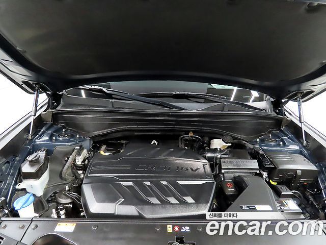Hyundai Palisade Diesel 2.2 2WD Prestige 2020 — фото 23